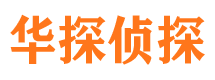 察雅侦探公司